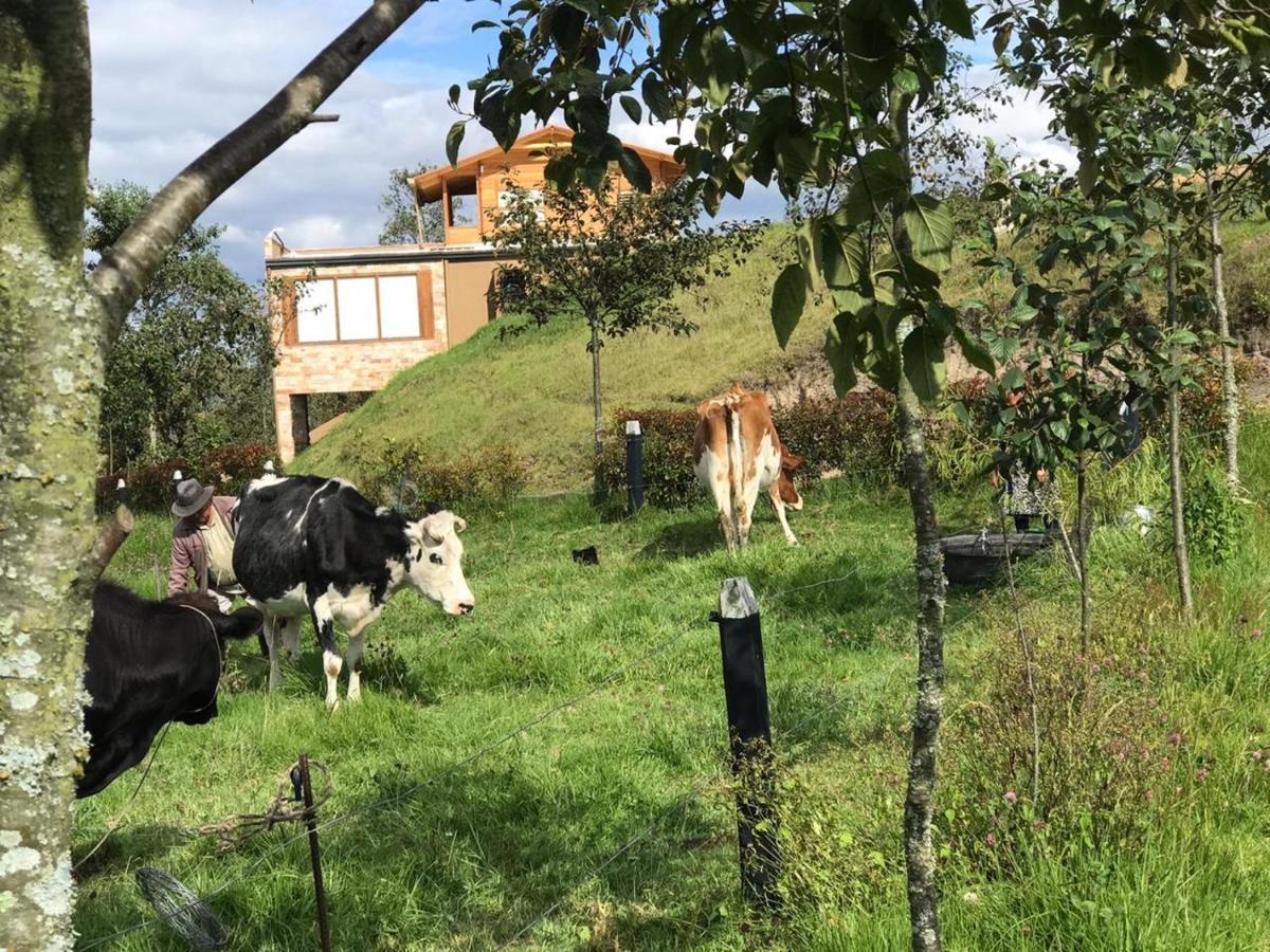 Experiencia Unica, Glamping De Lujo A Solo 10 Min Del Centro * Chiquinquira (Boyaca)